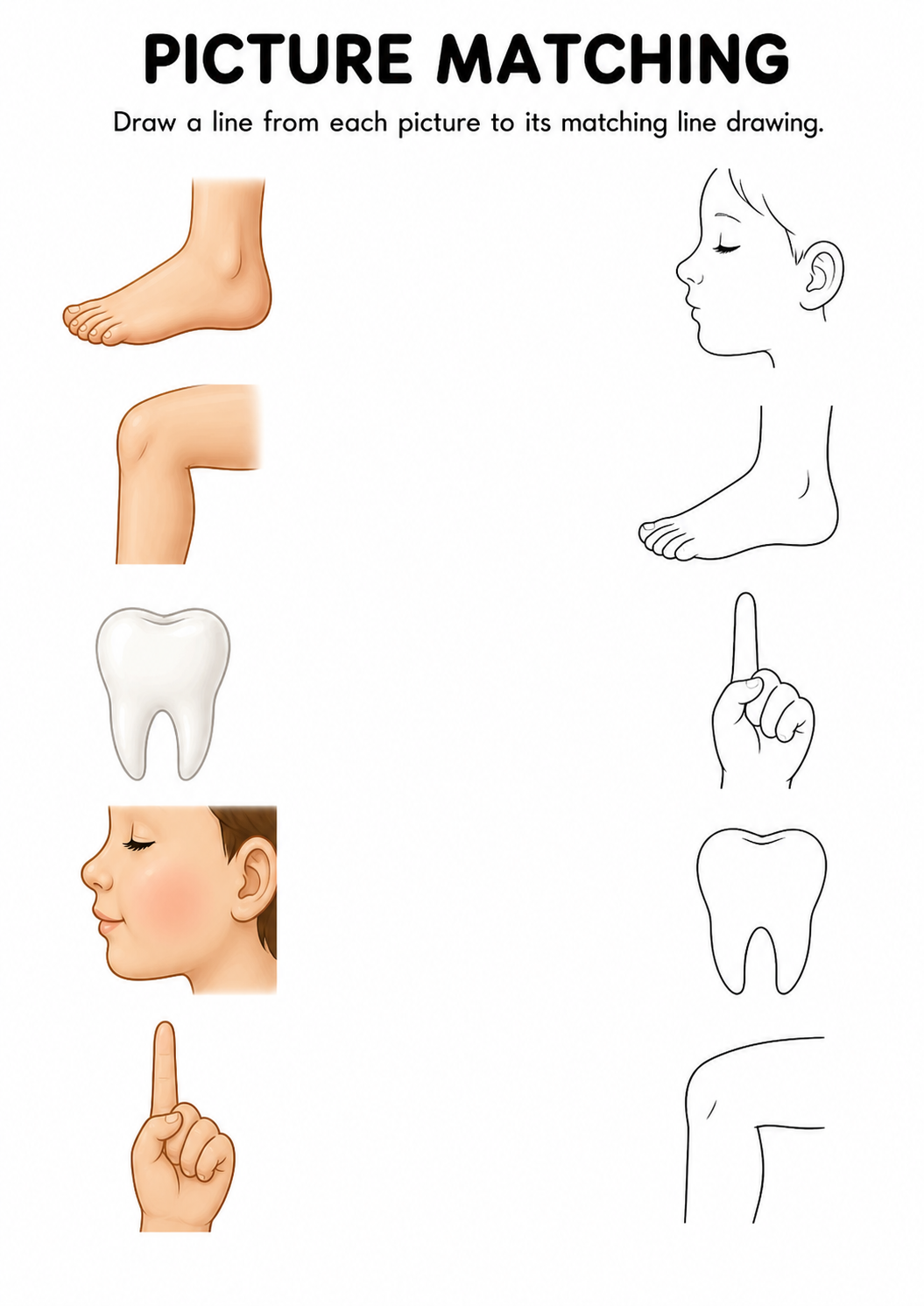 Body parts picture to line drawing worksheet with five items
