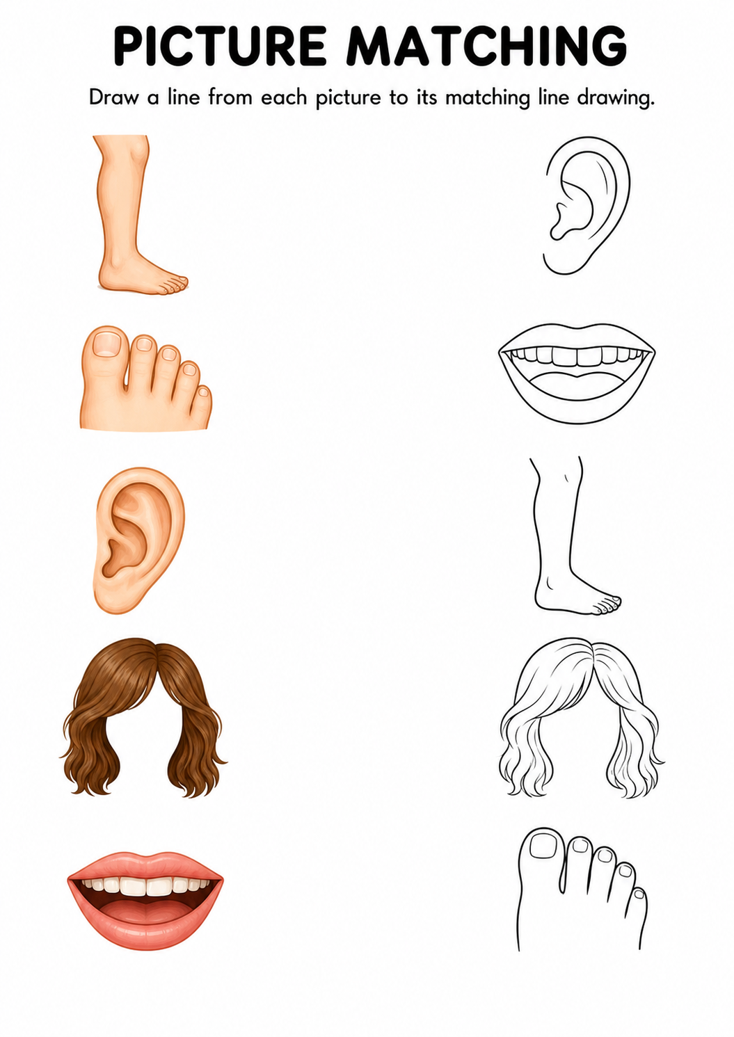 Body parts picture to line drawing worksheet with five items