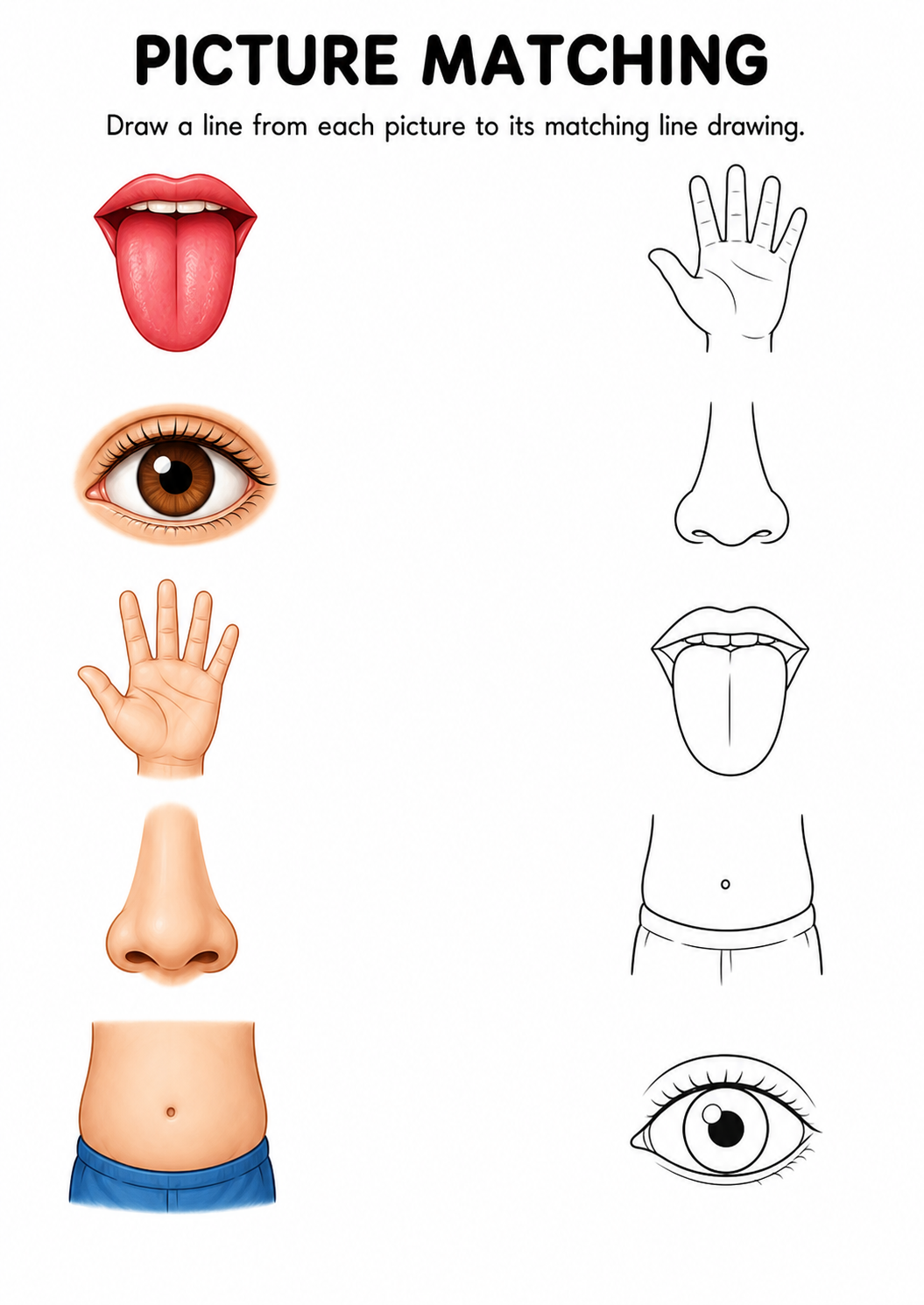 Body parts picture to line drawing worksheet with five items