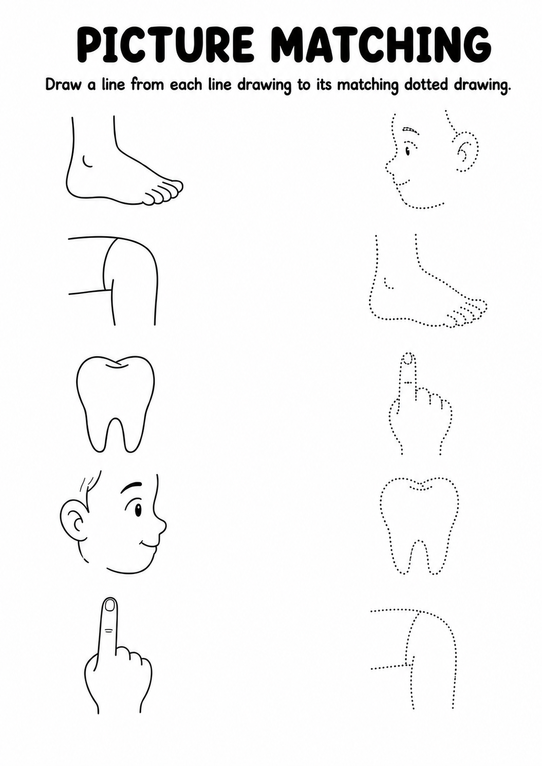 Body parts line drawing to dotted drawing worksheet