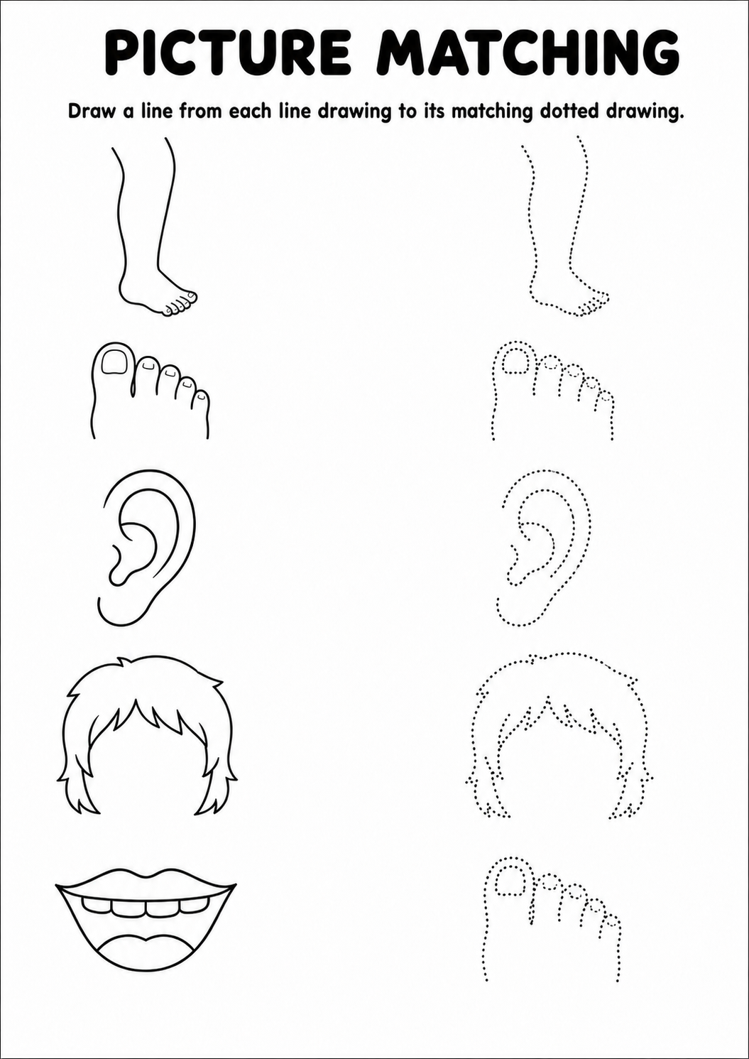 Body parts line drawing to dotted drawing worksheet