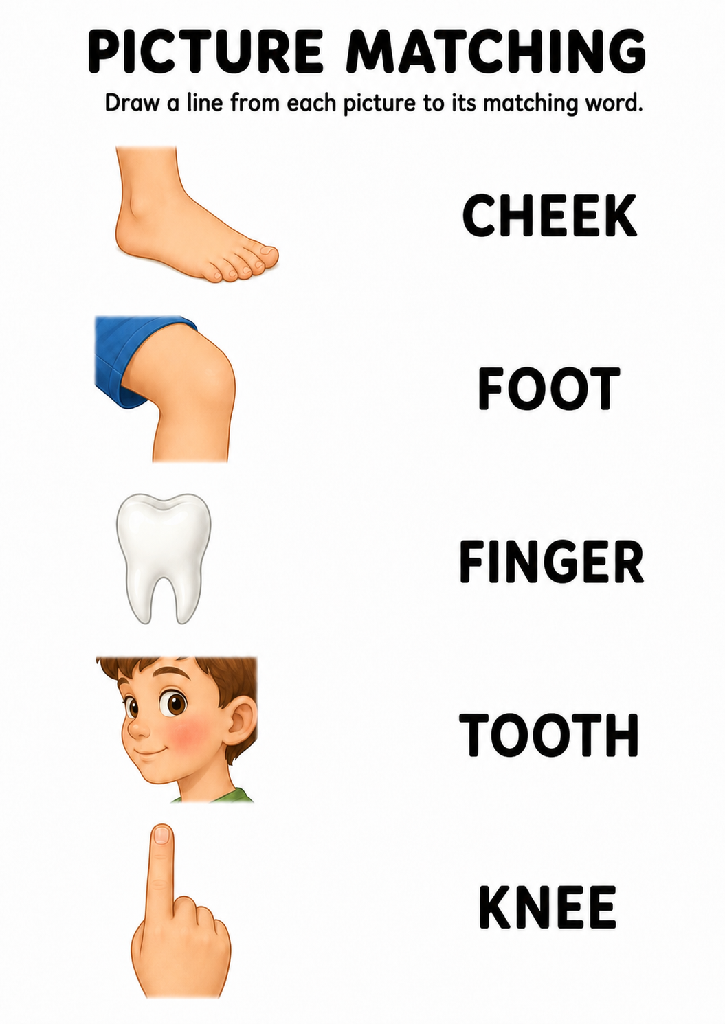 Body parts picture to word worksheet with five items