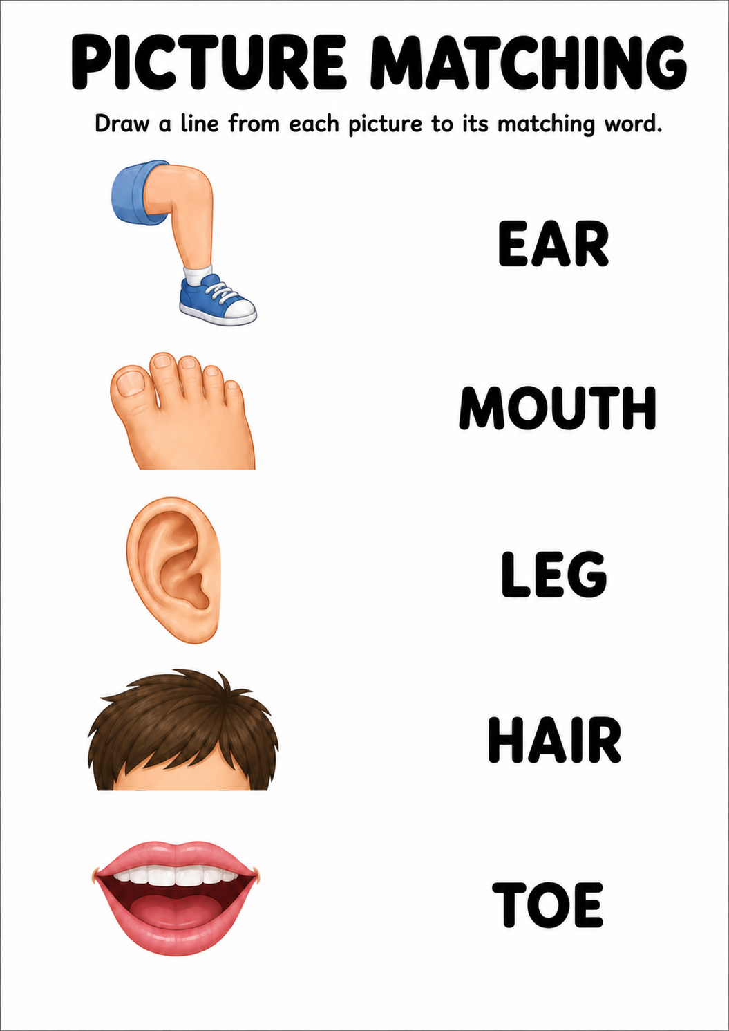 Body parts picture to word worksheet with five items